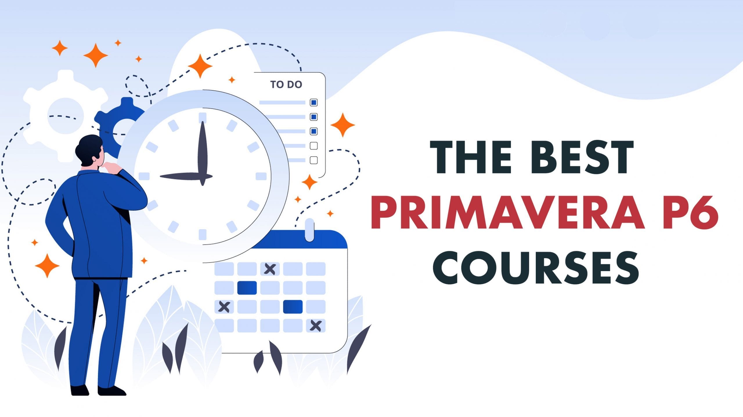 primavera p6 training primavera p6 training